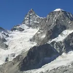 17, Marico زيرمات