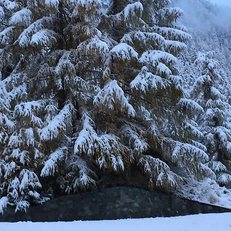 17, Marico Lägenhet